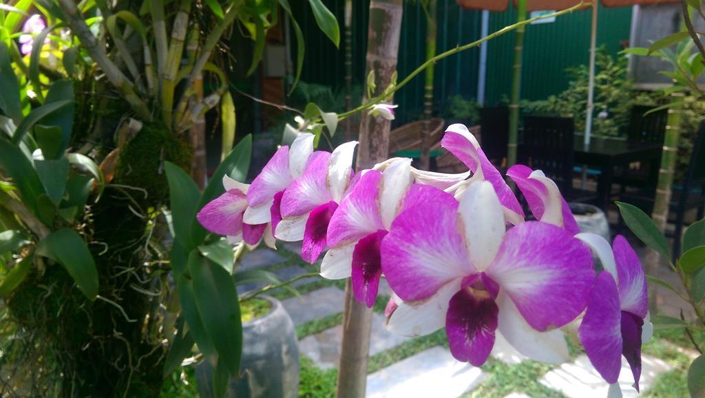 Siem Reap Green Home Guesthouse Exterior foto